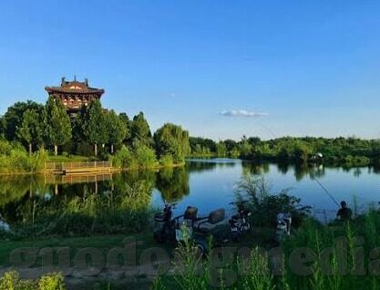 麻豆羞羞视频在线-一、网络内容的双刃剑特性